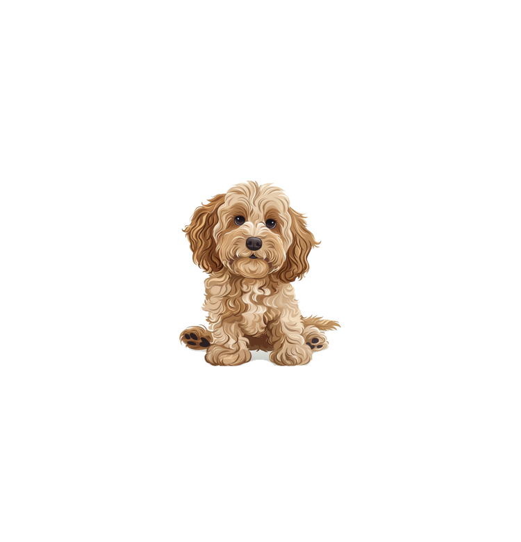 Cartoon Cockapoo dog illustration with curly fur