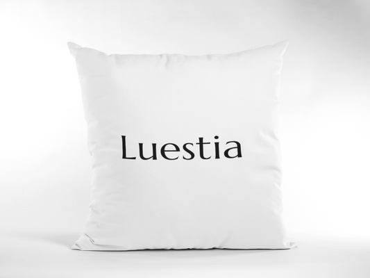 Custom Pillow Case